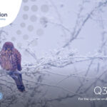 Health Innovation Oxford and Thames Valley Q3 report 2023/24 September to December 2023 Image of bird of prey sitting on a branch in a wintery landscape